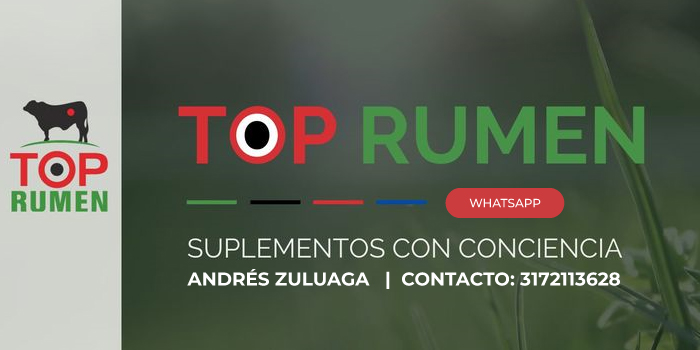 imagen publicidad empresa top rumen