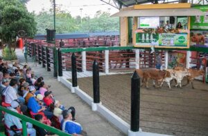 articulo-tendencias-del-mercado-ganadero-2025