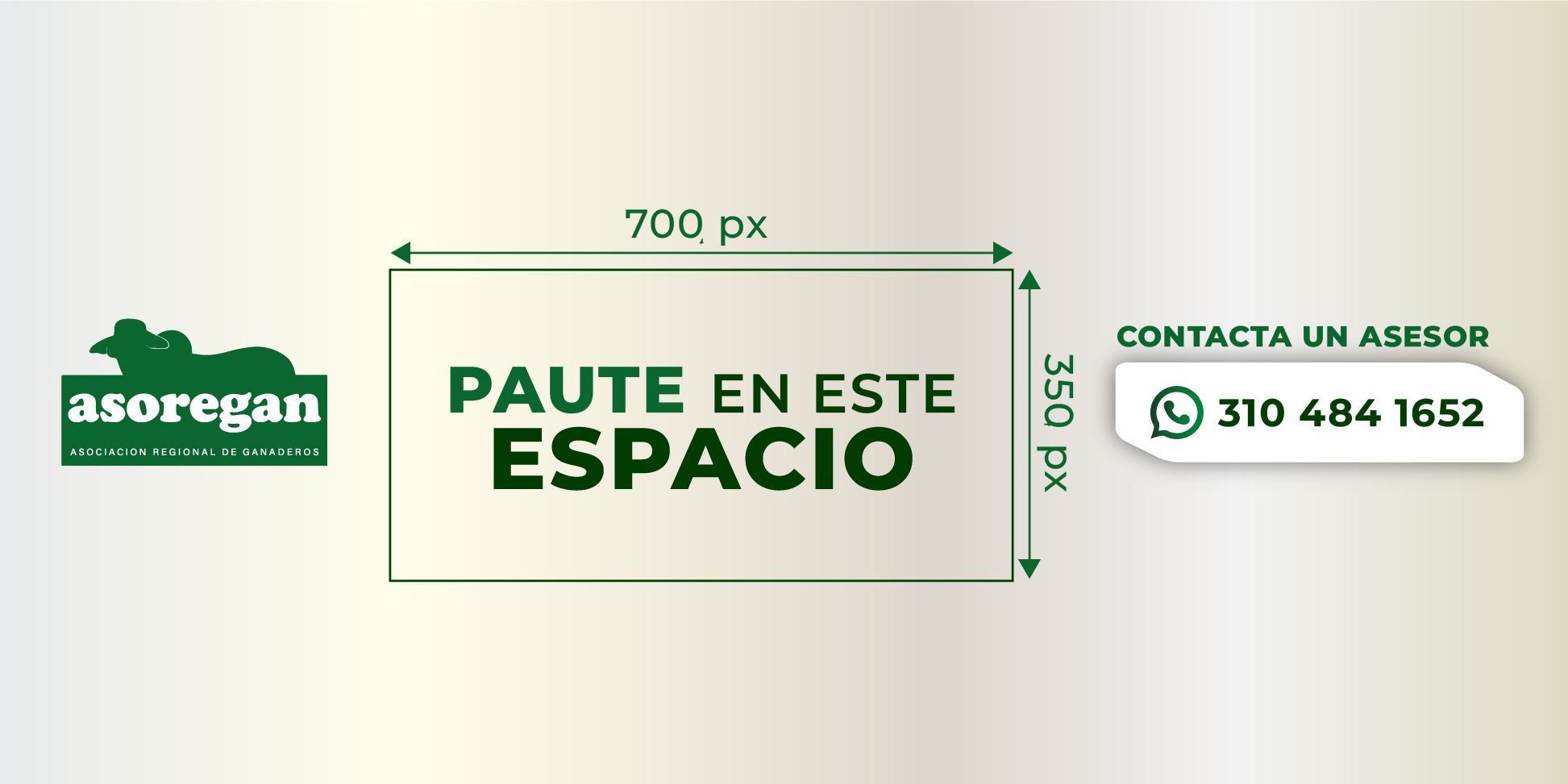 pautar en asoregan